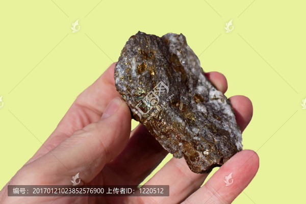 傻瓜的金子