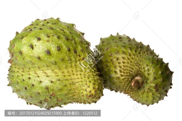 soursops特寫