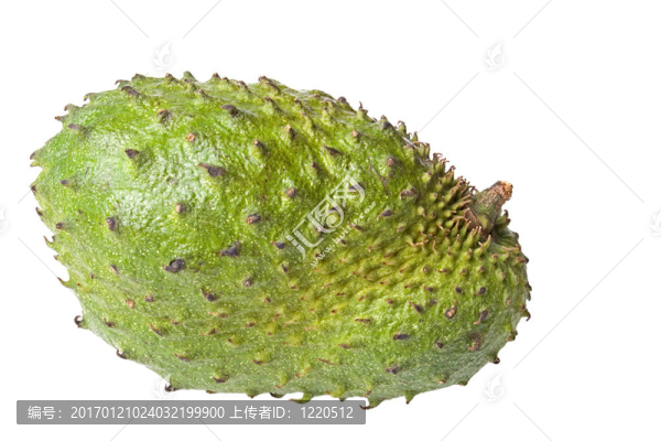 番荔枝特寫
