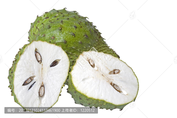 soursops特寫(xiě)