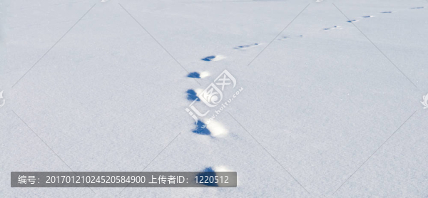 雪地上的腳印