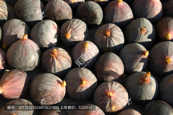 無(wú)花果