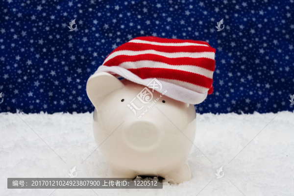 圣誕儲(chǔ)蓄