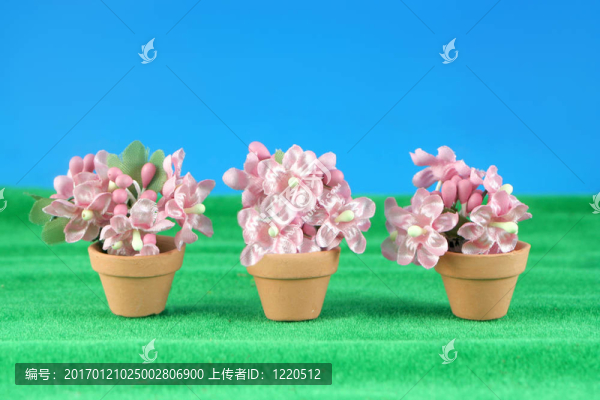 春天的花朵的縮影