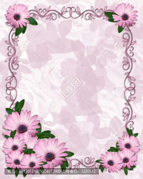 floal邊境的紫色雛菊