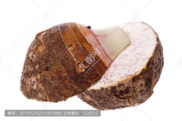 山藥中分離