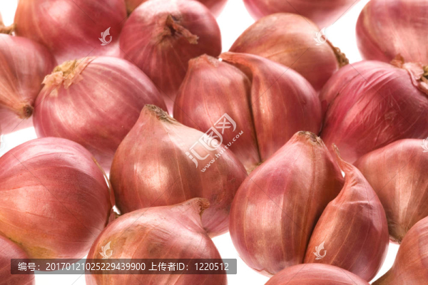 小洋蔥分離
