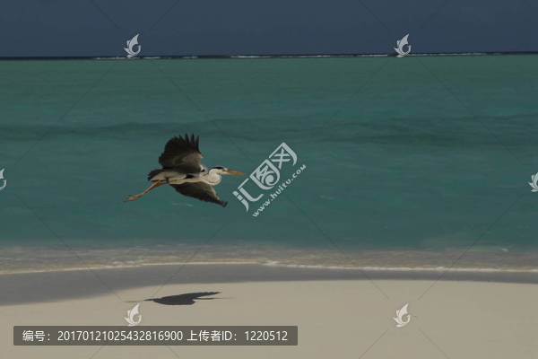 馬爾代夫
