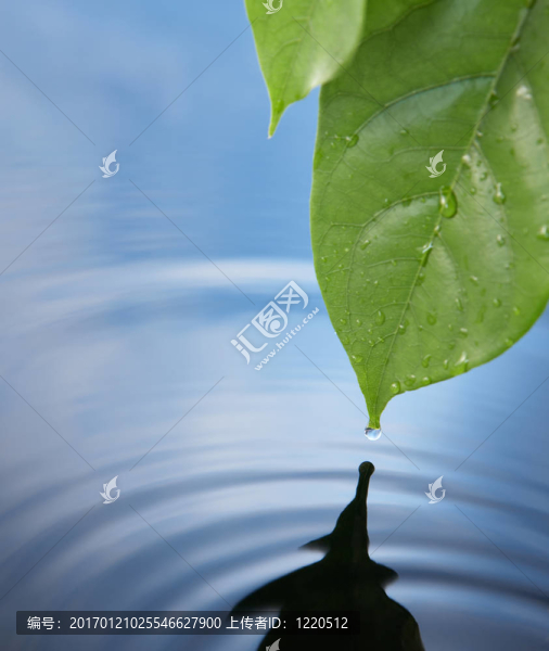 水滴