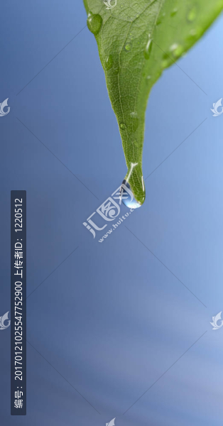 水滴