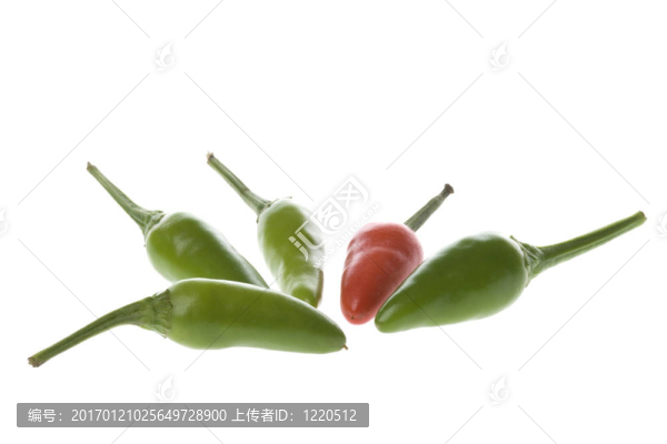 小辣椒的宏
