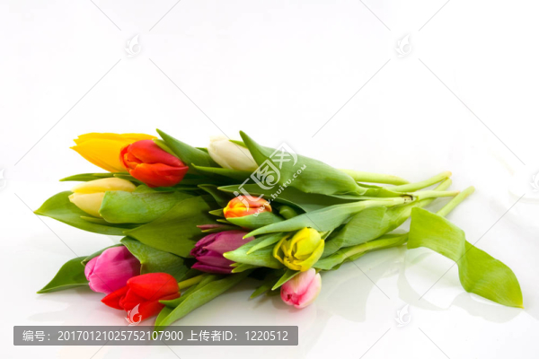 彩色的郁金香花束