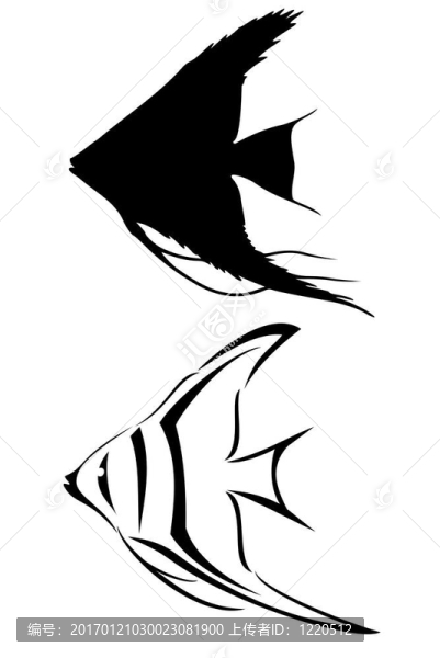 神仙魚