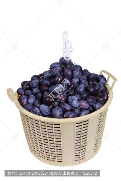 李子在籃子里