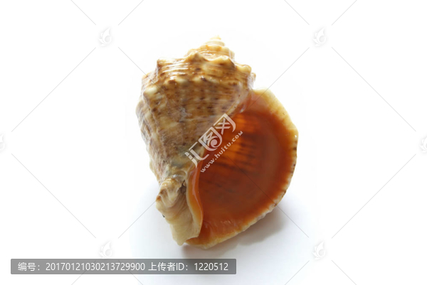 美麗的大海的小船