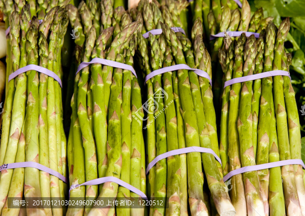蘆筍束-匯圖網(wǎng) www.fosd68.com 蘆筍束