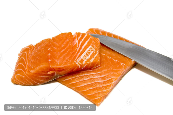 嵌縫鮭魚-匯圖網(wǎng) www.fosd68.com 嵌縫鮭魚