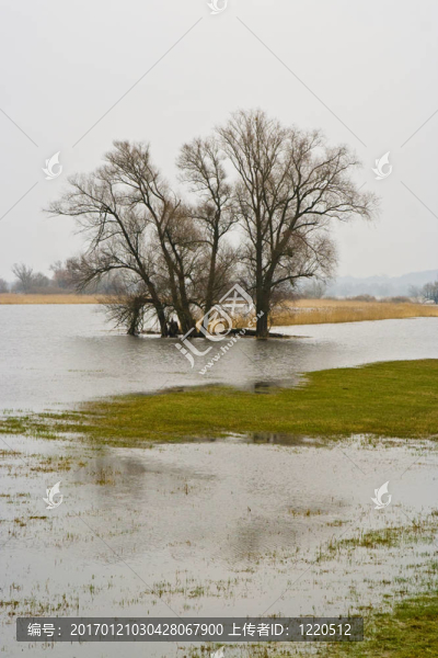 hochwasser