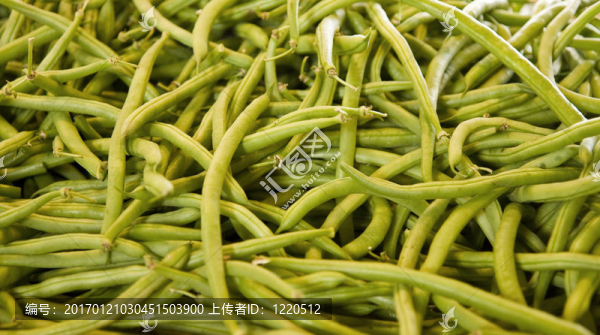 青豆