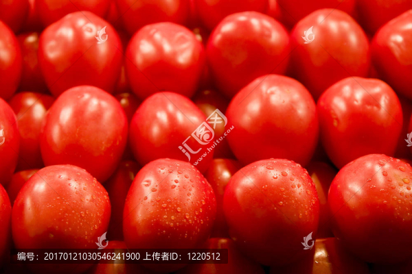 紅色的西紅柿