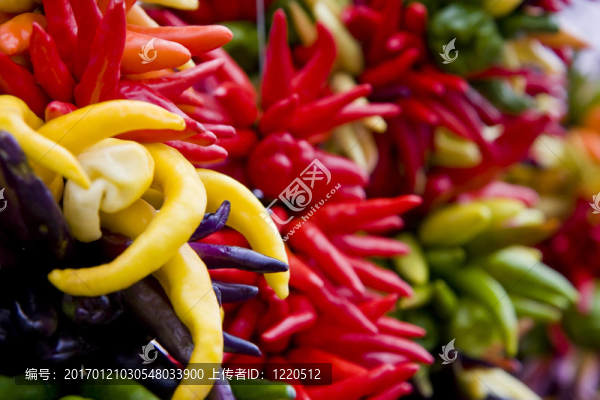 辣椒花環(huán)排