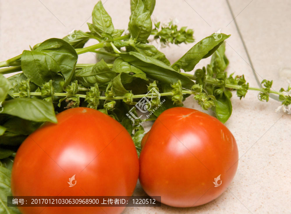 西紅柿和Fresh,Basil
