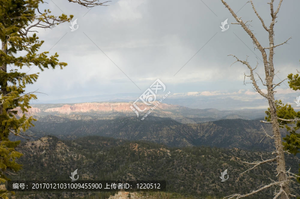 旅游Bryce,Canyon