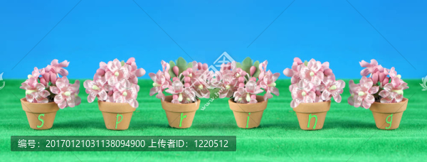 春天的花朵的縮影