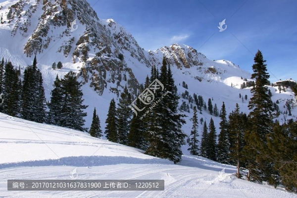 滑雪場(chǎng)
