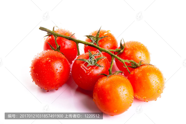 鮮紅色的西紅柿
