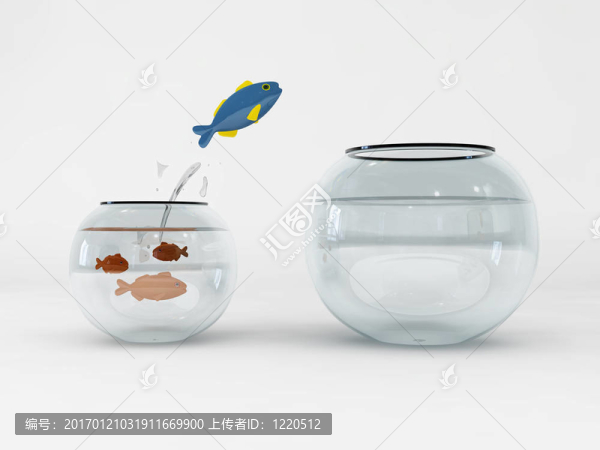 魚(yú)和碗