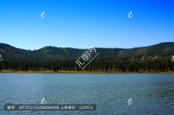 森林湖