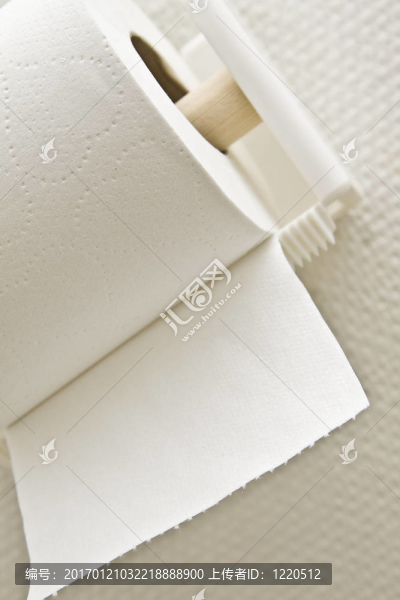 廁紙-匯圖網(wǎng) www.fosd68.com 廁紙