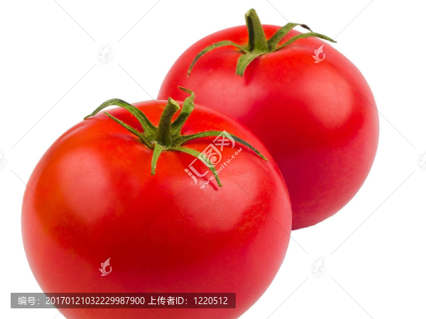 白色的兩個紅色的成熟的西紅柿