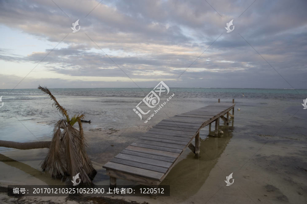 夕陽(yáng)與倒下的棕櫚和碼頭