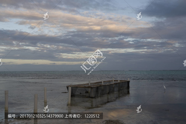 在森塞特魚筆和淺灘