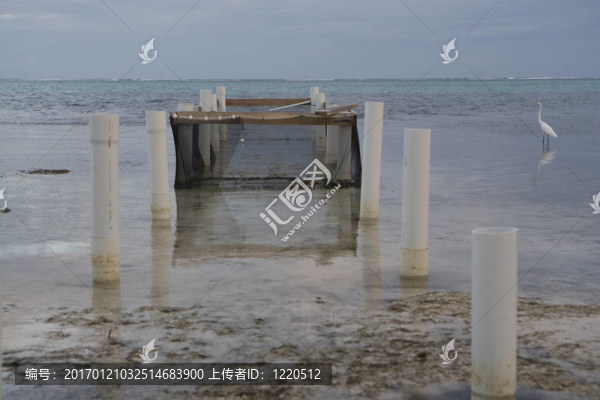魚(yú)筆；樁和蒼鷺