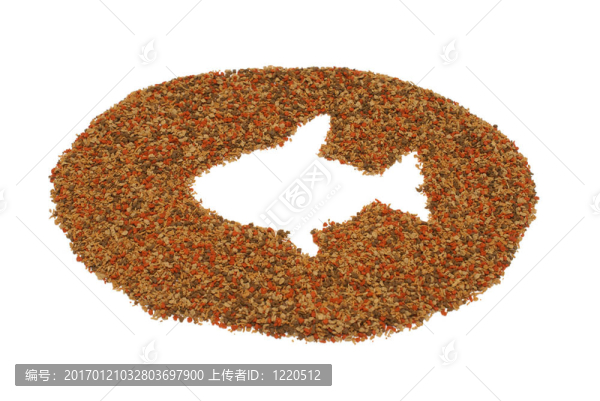 寵物魚食