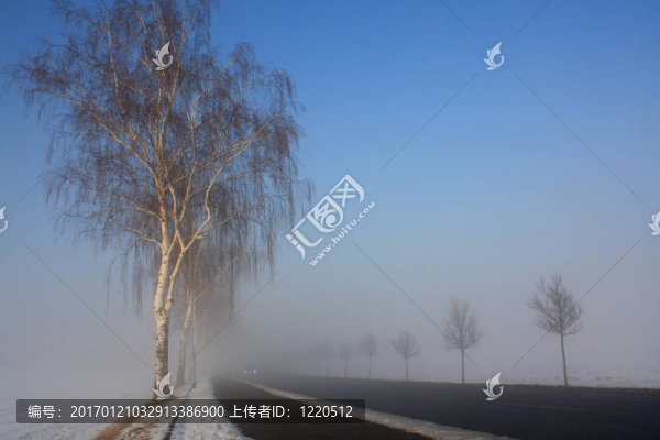 霧場(chǎng)