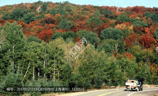 秋天的顏色g-2642