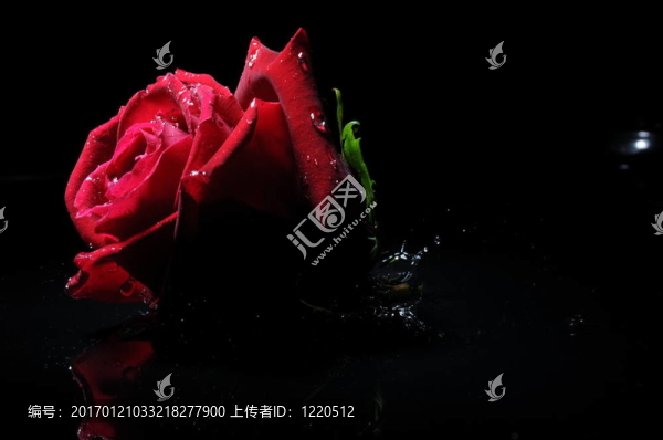 紅玫瑰色斑