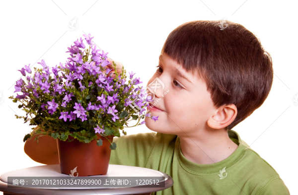 男孩花