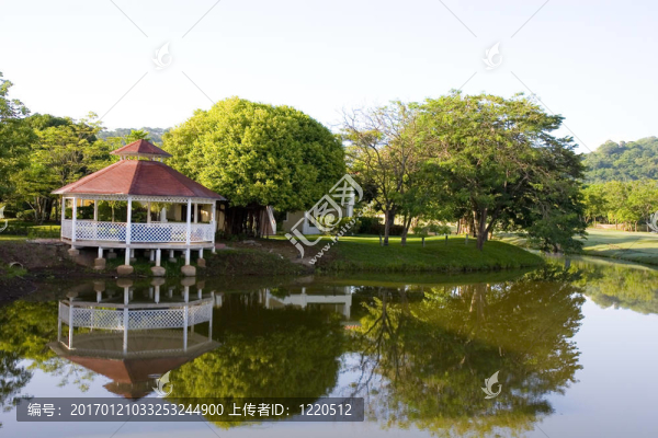 在湖心島涼亭和樹