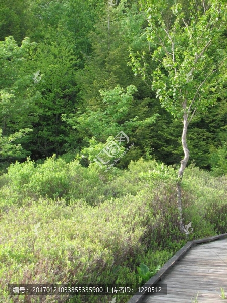 景觀-匯圖網(wǎng) www.fosd68.com 景觀