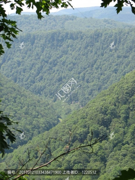 景觀