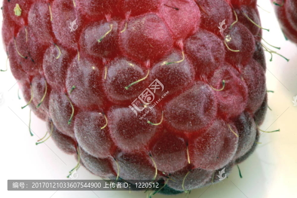 新鮮的覆盆子