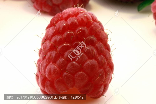 新鮮的覆盆子
