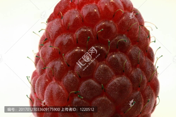 新鮮的覆盆子