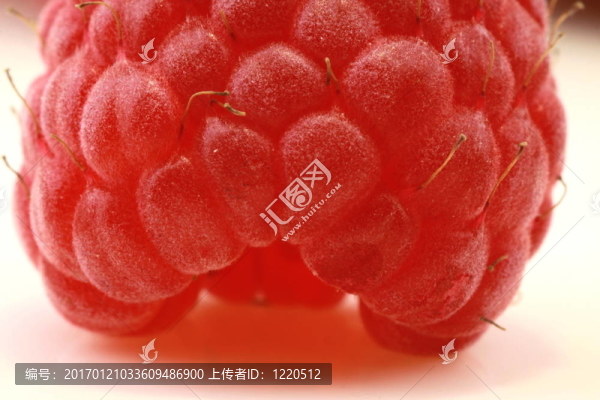 新鮮的覆盆子