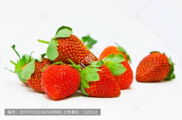 成熟的草莓